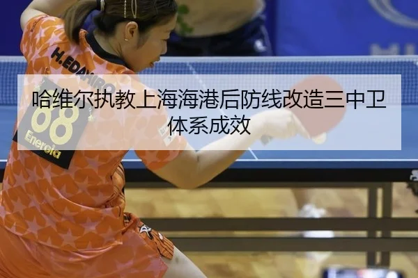 ha-wei-er-zhi-jiao-shang-hai-hai-gang-hou-fang-xian-gai-zao-san-zhong-wei-ti-xi-cheng-xiao-2-863.jpg